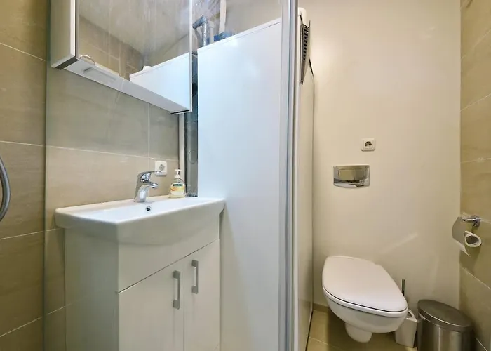 Domillion 3bdr 2baths President Palace Park L419a Vilnius