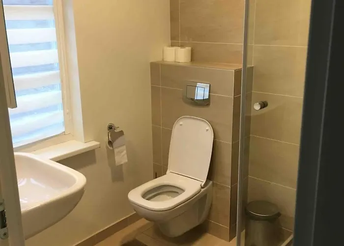 Domillion 3bdr 2baths President Palace Park L419a Vilnius